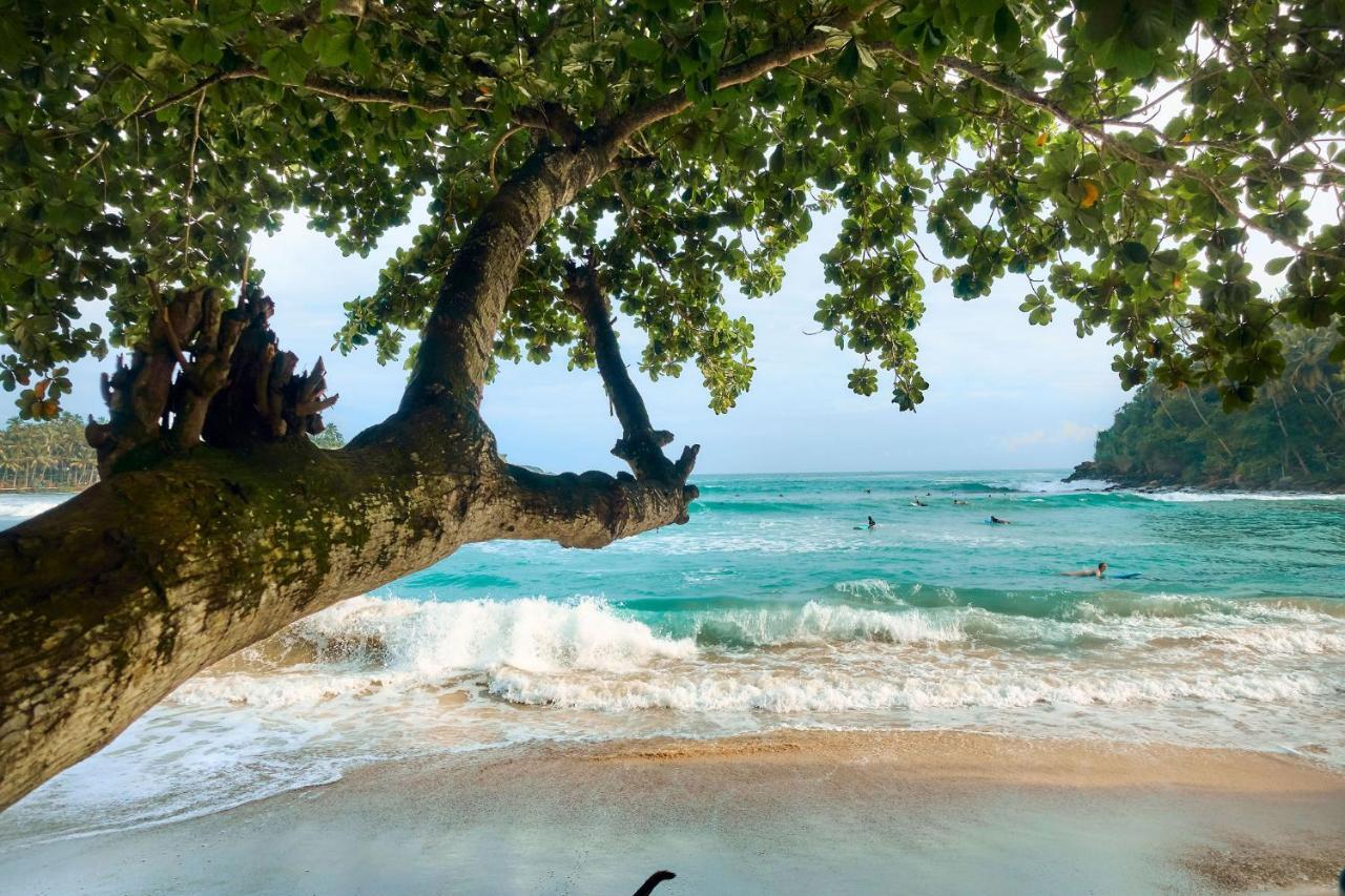 CasaVana Sri Lanka Dikwella Sur Exterior foto