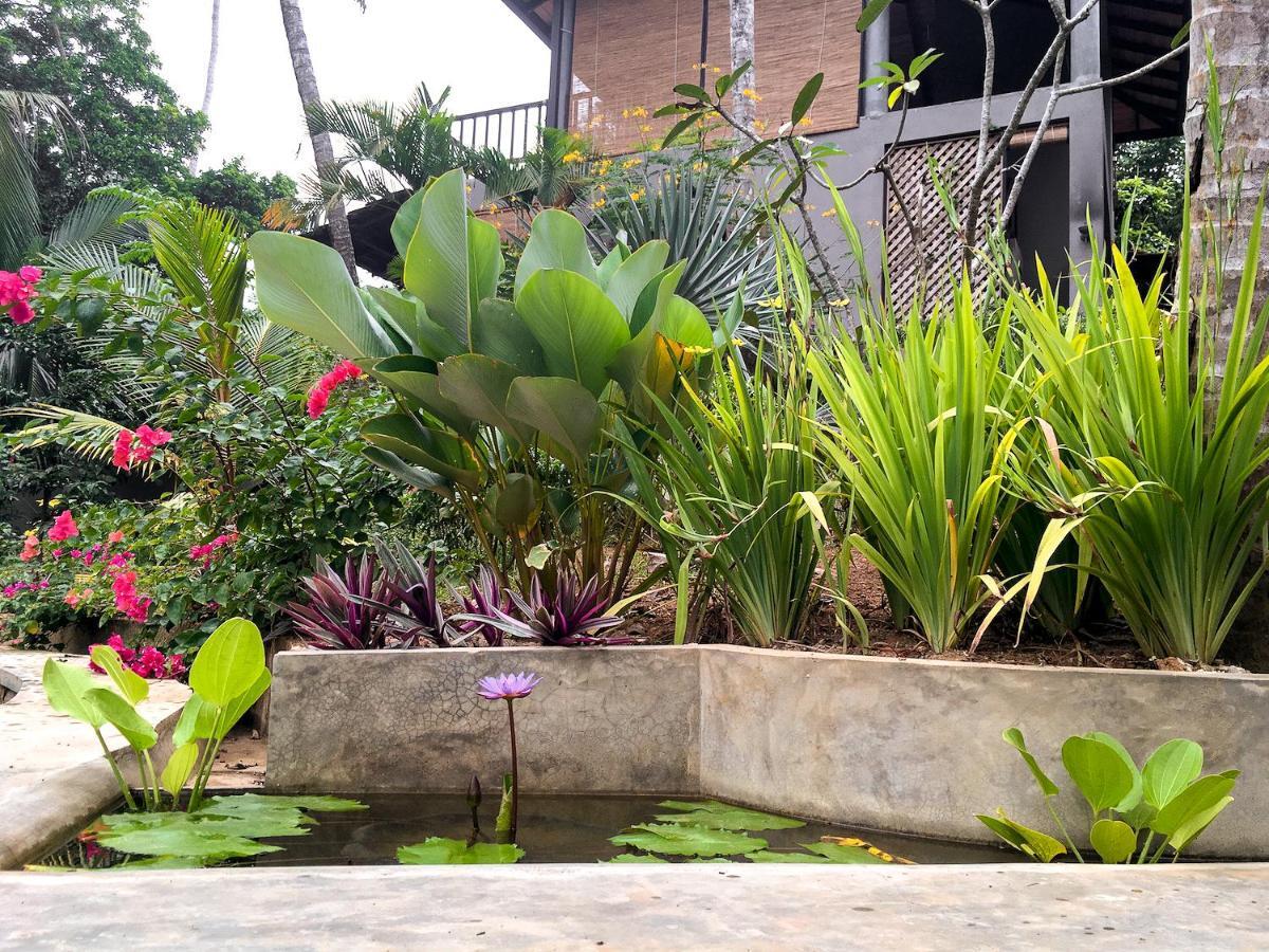 CasaVana Sri Lanka Dikwella Sur Exterior foto